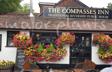 Compasses Inn_image_007