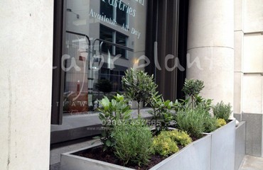 Herb Display for Restaurants and Bistros_image_020