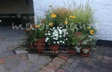 Pots%20and%20Troughs_image_001