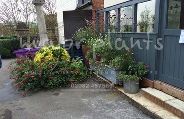 Pots and Troughs_image_007