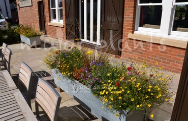 Pots and Troughs_image_009