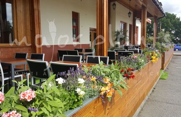 Pots and Troughs_image_017