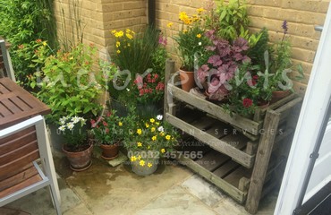Pots%20and%20Troughs_image_025