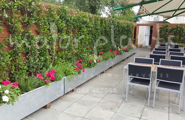 Pots and Troughs_image_030