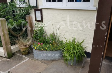 Pots and Troughs_image_036