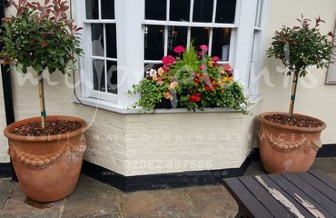 Pots and Troughs_image_037