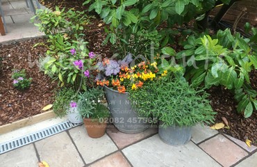Pots and Troughs_image_041