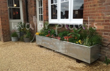 Pots and Troughs_image_043