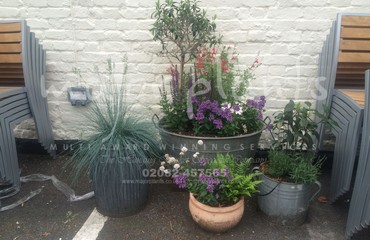 Pots and Troughs_image_045