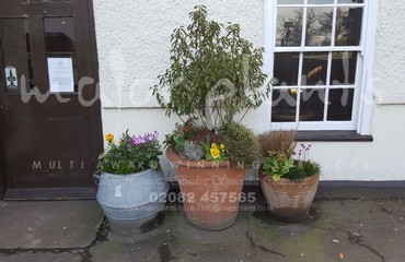 Pots and Troughs_image_056