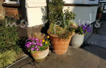 Pots and Troughs_image_057