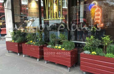 Pots and Troughs_image_071