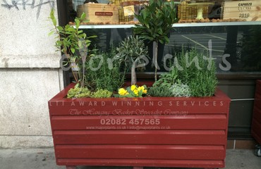 Pots and Troughs_image_072