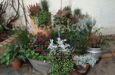 Pots and Troughs_image_073