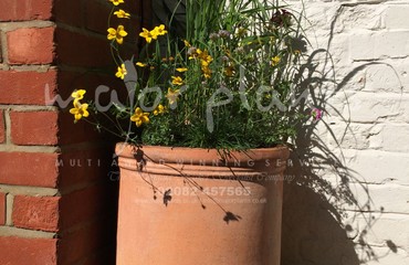 Pots and Troughs_image_082