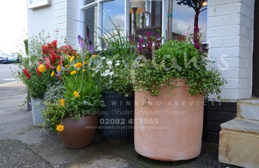 Pots and Troughs_image_087