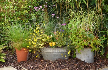 Pots and Troughs_image_097