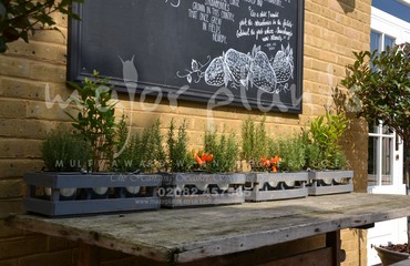 Pots and Troughs_image_098