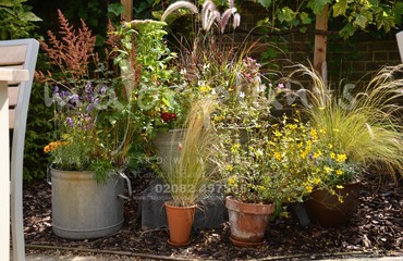 Pots and Troughs_image_101