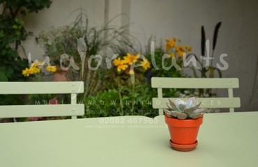 Pots and Troughs_image_108