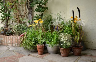 Pots and Troughs_image_112