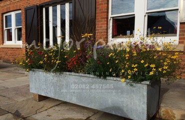 Pots and Troughs_image_115
