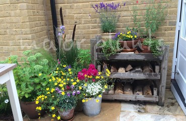 Pots%20and%20Troughs_image_122
