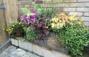 Pots and Troughs_image_124