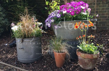 Pots and Troughs_image_131