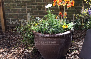Pots and Troughs_image_133
