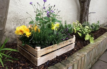 Pots and Troughs_image_141