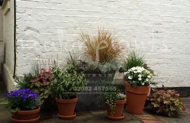 Pots and Troughs_image_144