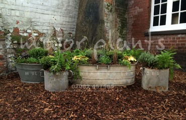 Pots and Troughs_image_146