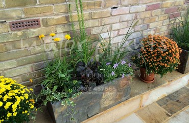 Pots and Troughs_image_151