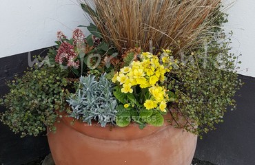 Pots and Troughs_image_157