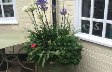 Pots and Troughs_image_159