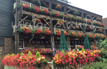 Window Boxes for Pubs_image_002