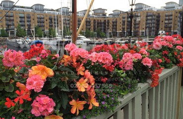 Window Boxes for Pubs_image_008