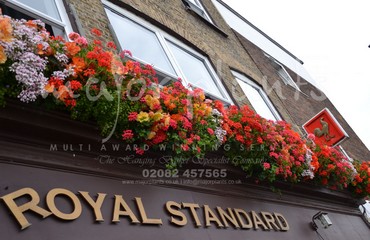 Window Boxes for Pubs_image_010