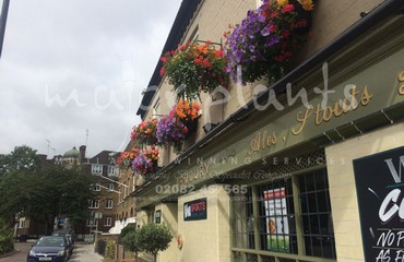 Window Boxes for Pubs_image_011