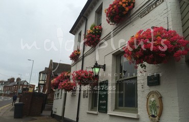 Window Boxes for Pubs_image_014