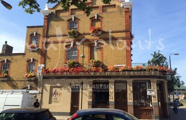 Window Boxes for Pubs_image_019