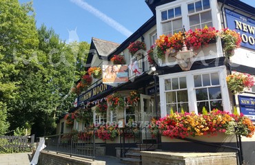 Window Boxes for Pubs_image_021