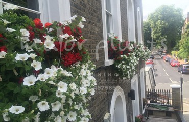 Window Boxes for Pubs_image_036