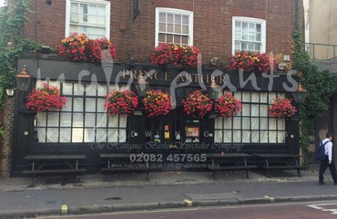 Window Boxes for Pubs_image_037
