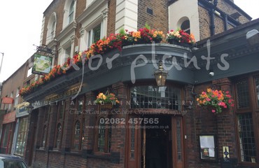 Window Boxes for Pubs_image_042