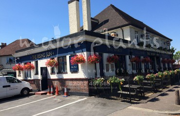 Window Boxes for Pubs_image_051