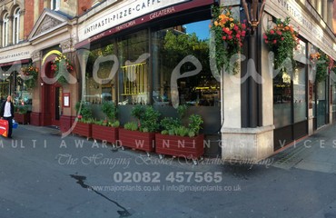 Window Boxes for Pubs_image_060