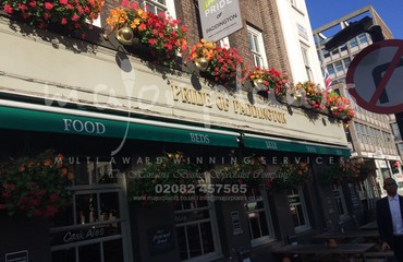 Window Boxes for Pubs_image_064