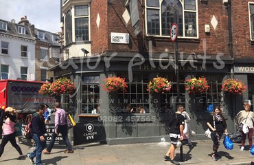 Window Boxes for Pubs_image_065